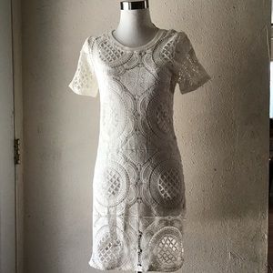 NWT Charlotte Russe dress